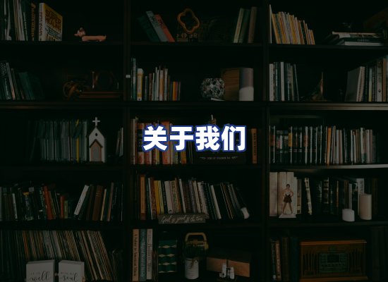 专业团队